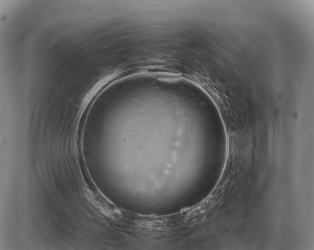 X0000087400147200704271656