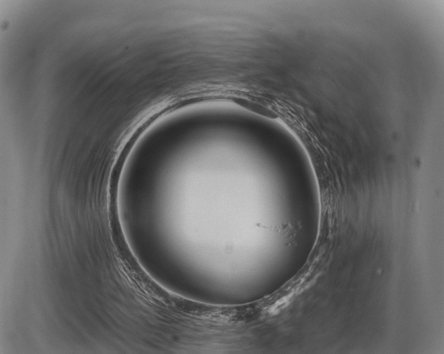 X0000087400148200704271656