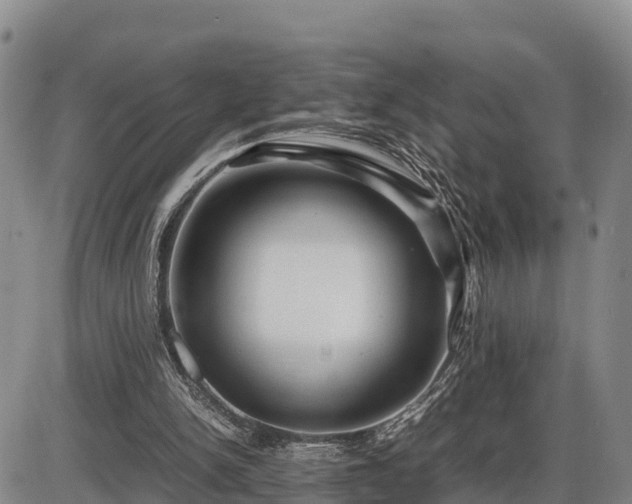 X0000087400150200704271656