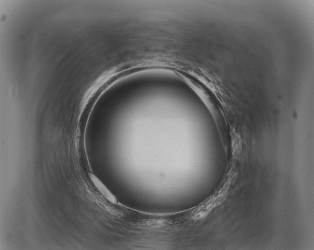 X0000087400152200704271656