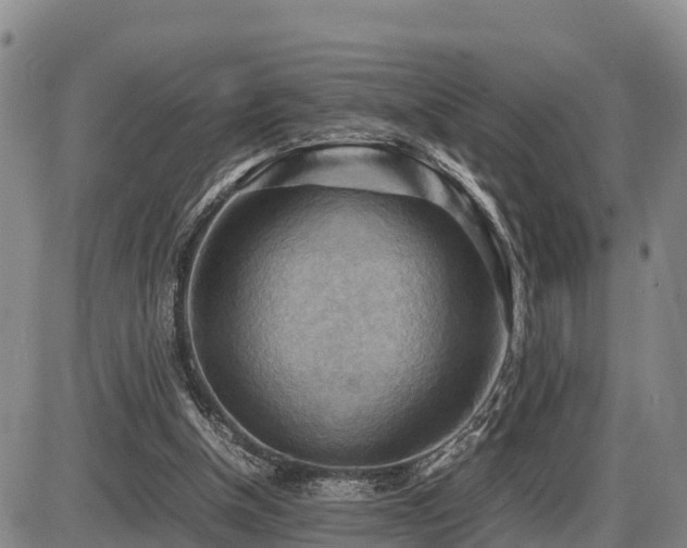 X0000087400154200704271656