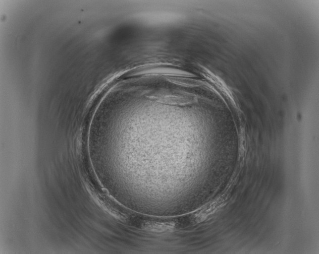 X0000087400155200704271656