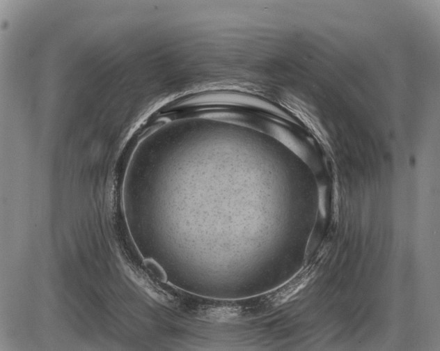 X0000087400156200704271656