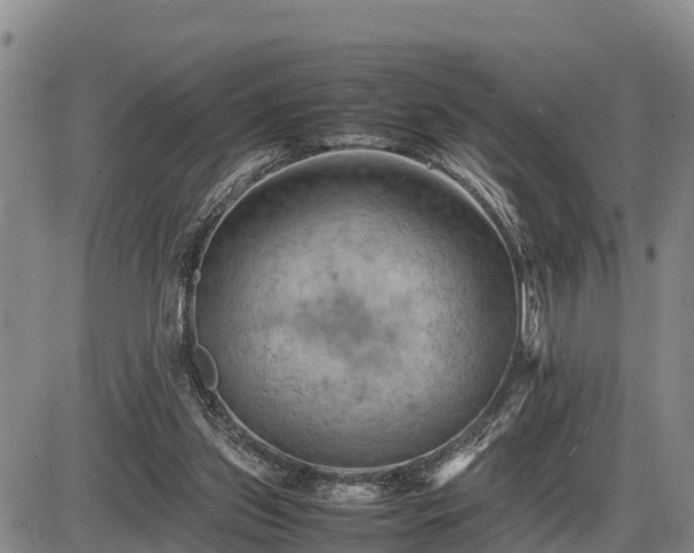 X0000087400157200704271656