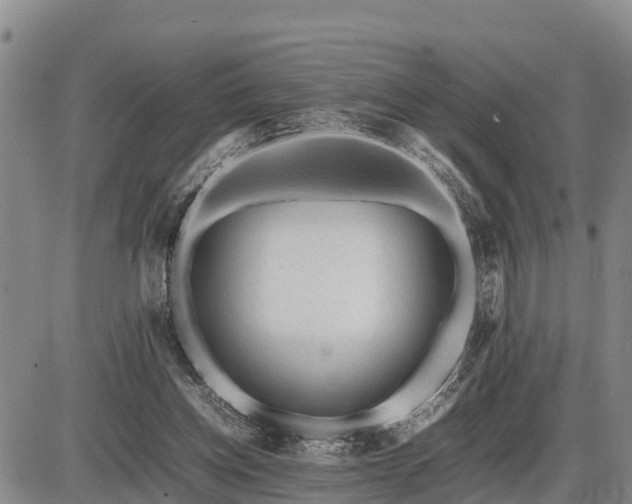 X0000087400158200704271656