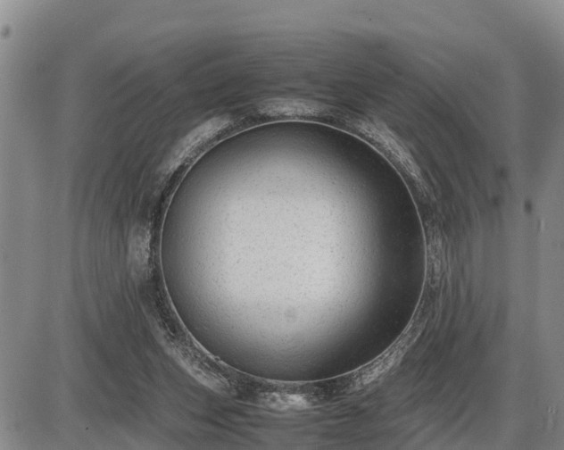 X0000087400159200704271656