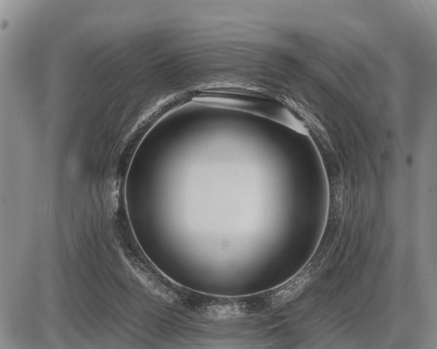 X0000087400160200704271656