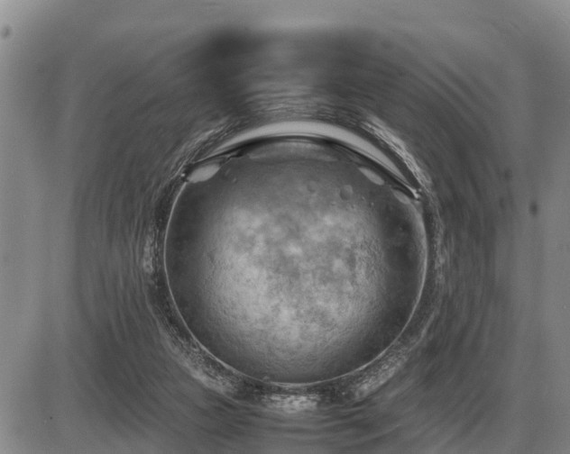 X0000087400161200704271656