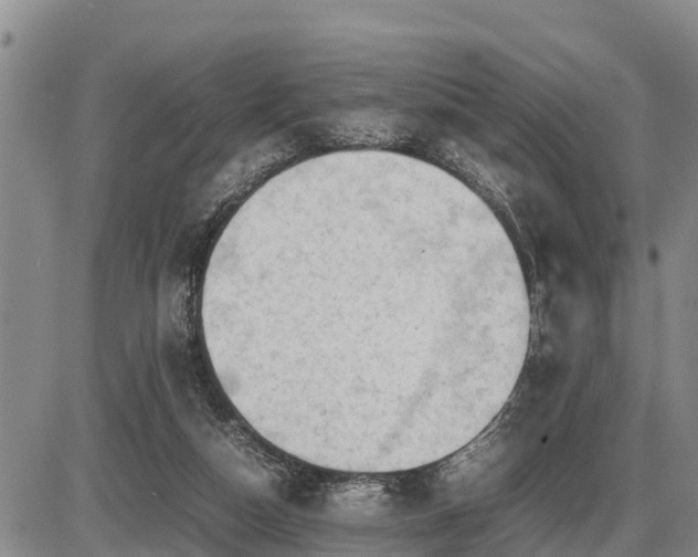 X0000087400162200704271656