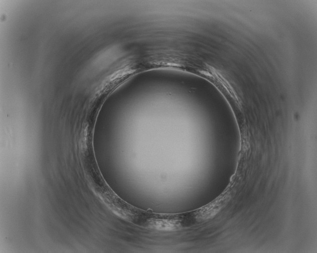 X0000087400163200704271656