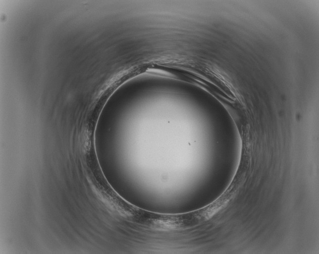 X0000087400164200704271656