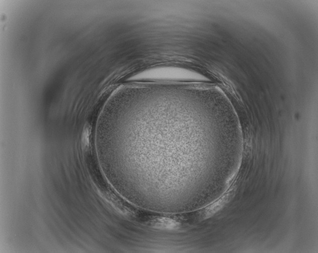 X0000087400166200704271656