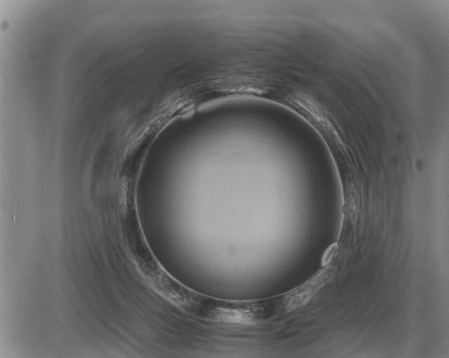 X0000087400167200704271656