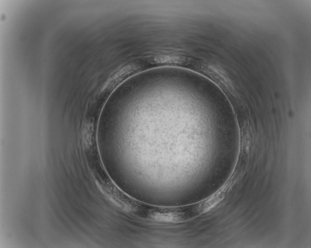 X0000087400171200704271656