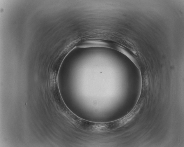 X0000087400172200704271656