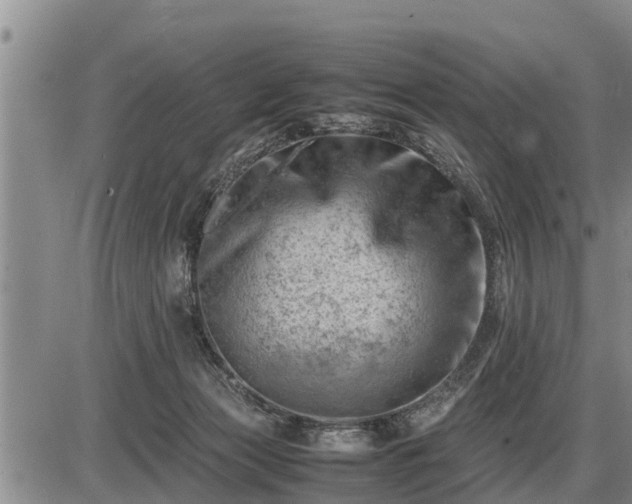 X0000087400173200704271656