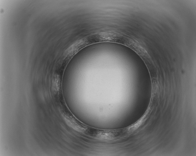 X0000087400174200704271656