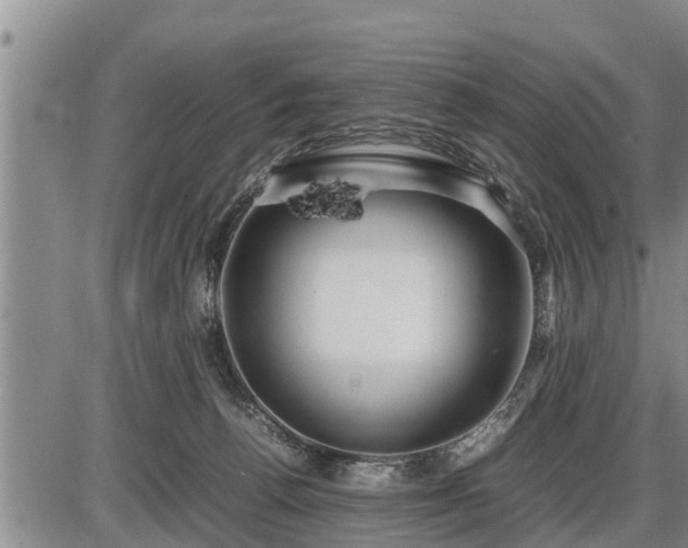 X0000087400176200704271656