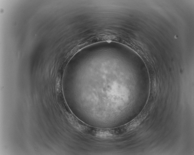 X0000087400177200704271656