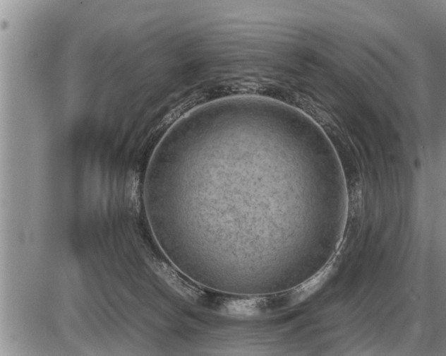 X0000087400178200704271656