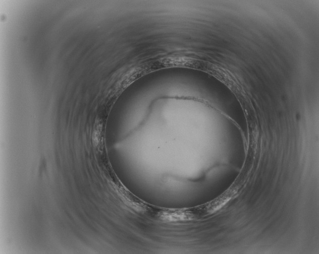 X0000087400181200704271656