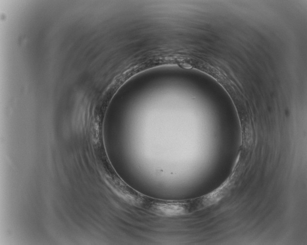 X0000087400183200704271656