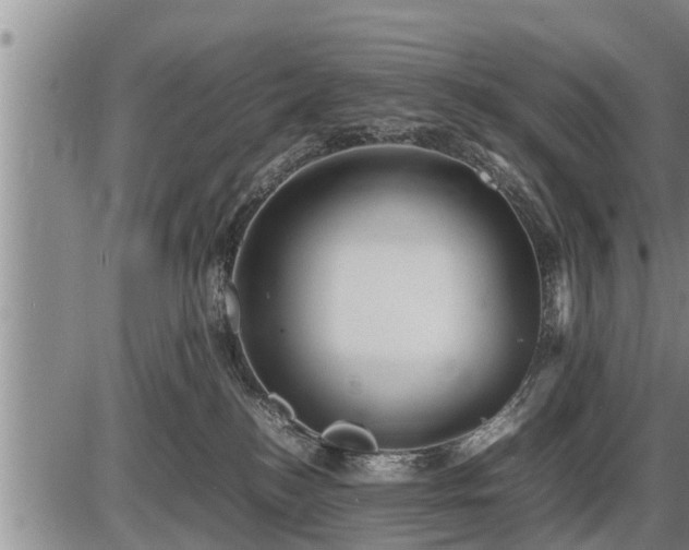 X0000087400184200704271656