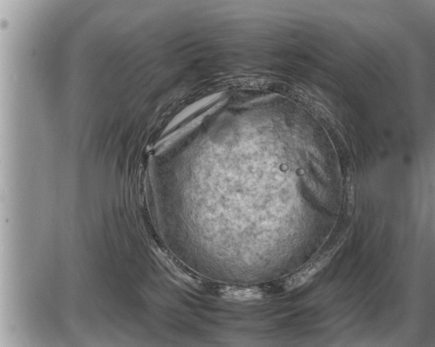 X0000087400185200704271656