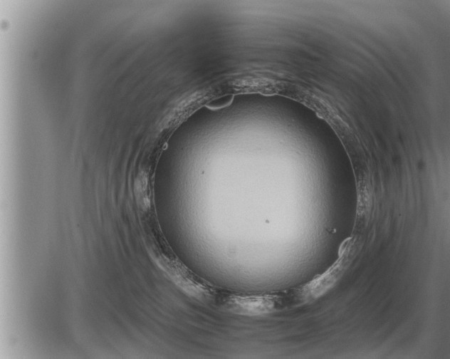 X0000087400187200704271656