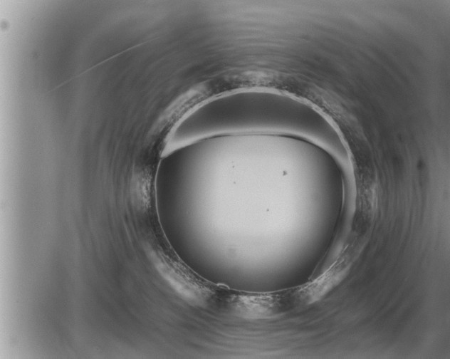 X0000087400188200704271656