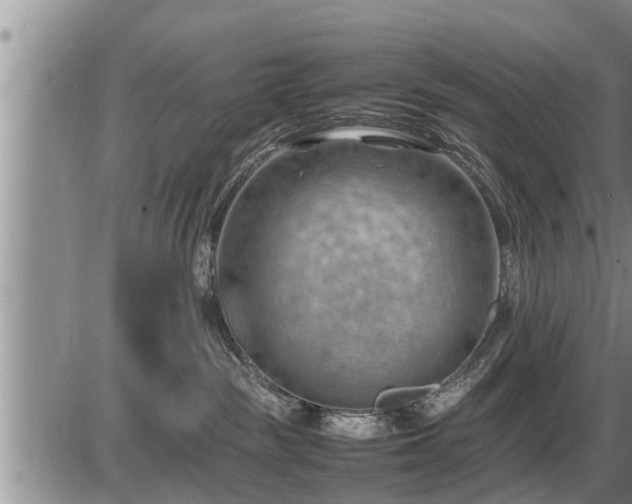 X0000087400189200704271656