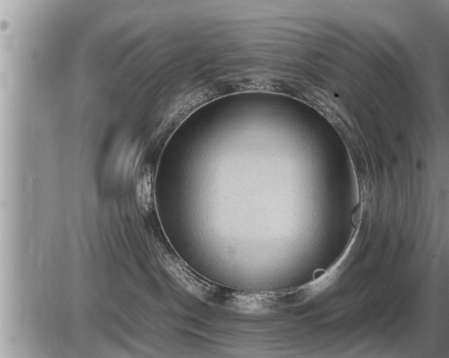 X0000087400190200704271656