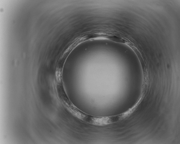 X0000087400191200704271656