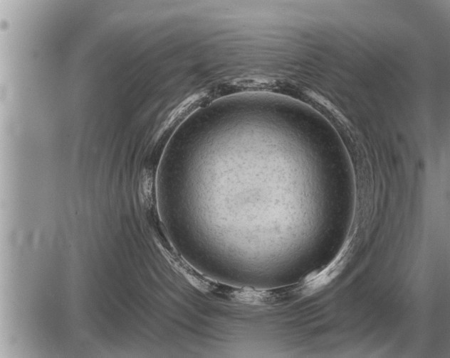 X0000087400192200704271656