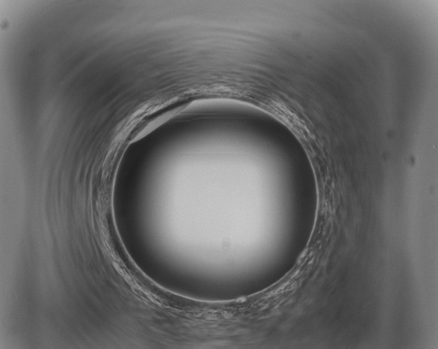 X0000087400193200704271656