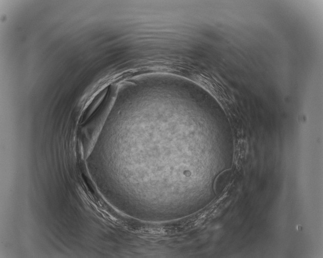 X0000087400194200704271656