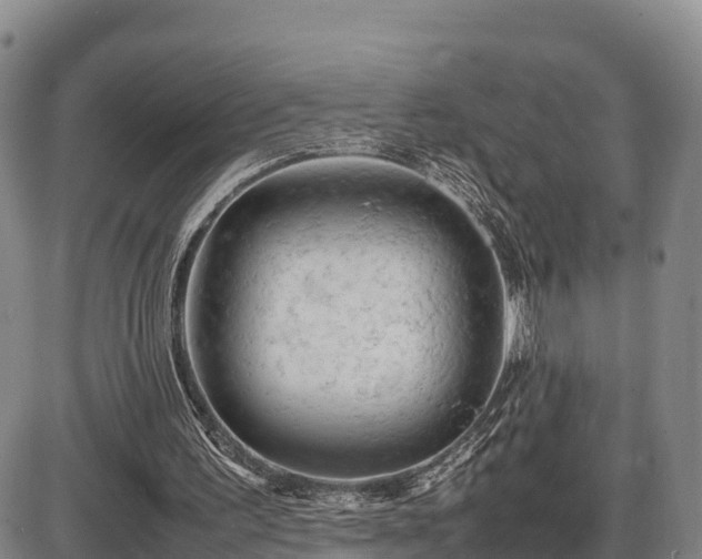 X0000087400195200704271656