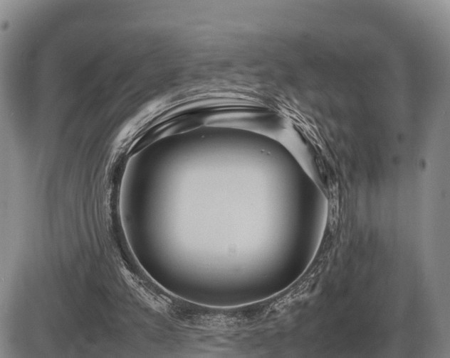 X0000087400197200704271655