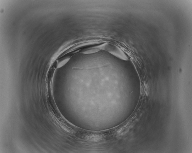 X0000087400198200704271655