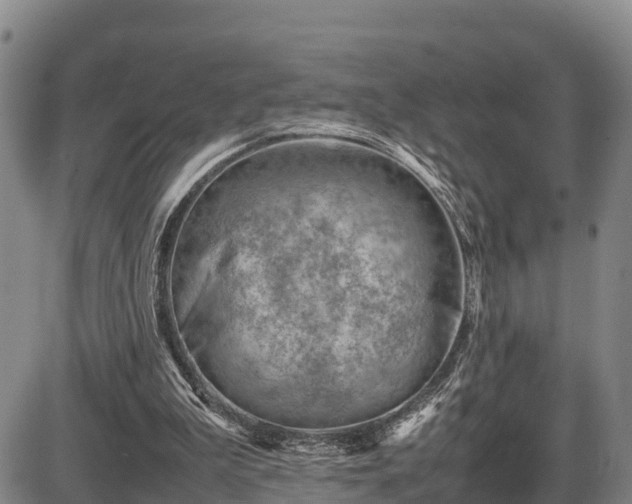 X0000087400199200704271655