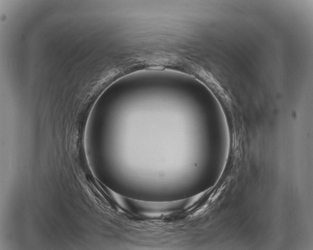 X0000087400201200704271655