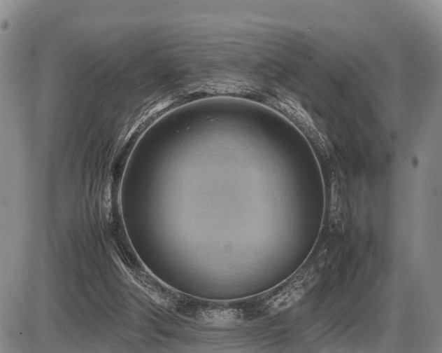 X0000087400202200704271655