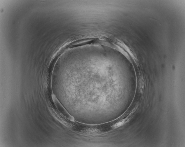 X0000087400203200704271655