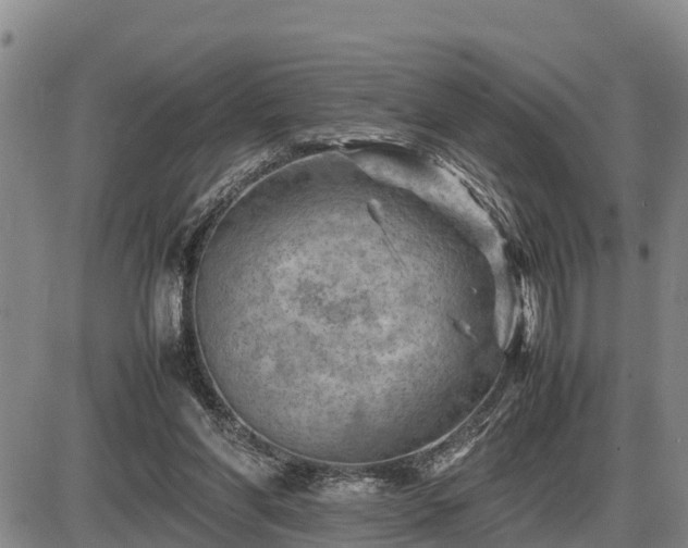 X0000087400206200704271655