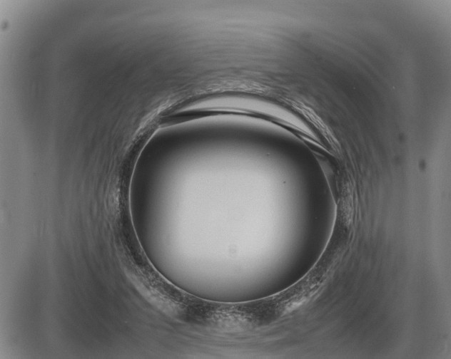 X0000087400207200704271655