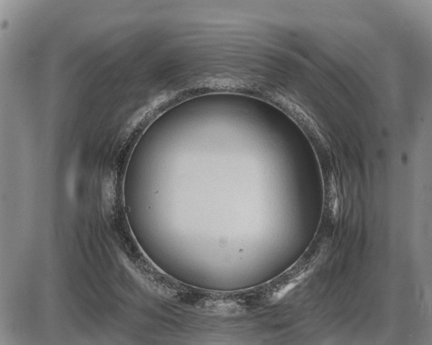 X0000087400208200704271655