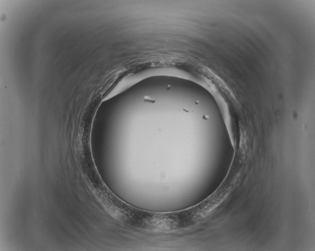 X0000087400209200704271655