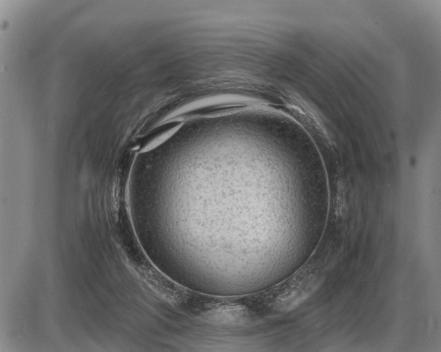 X0000087400210200704271655