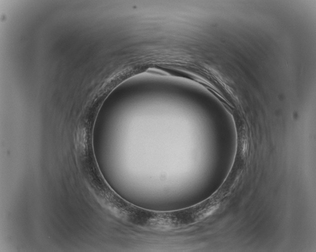 X0000087400211200704271655