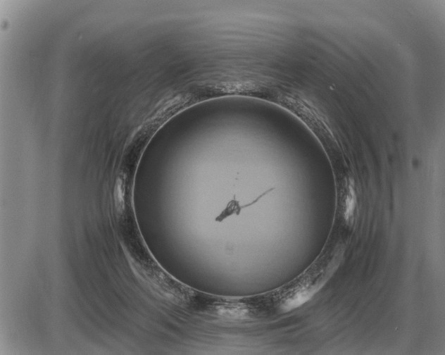 X0000087400214200704271655